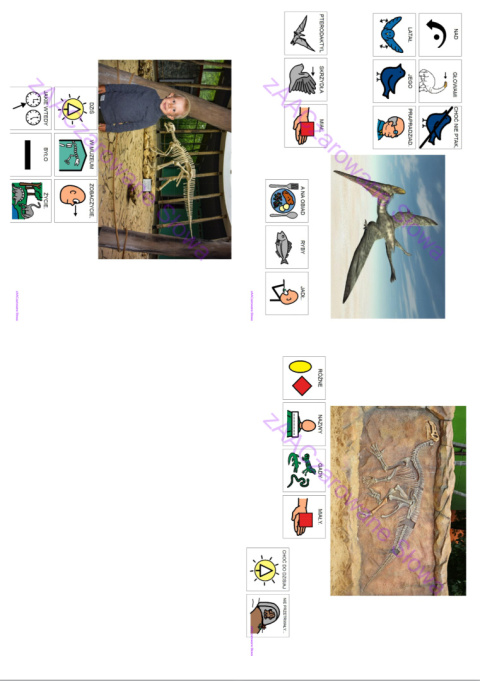 DZIEŃ DINOZAURA - CAŁY PAKIET, SYMBOLE PCS