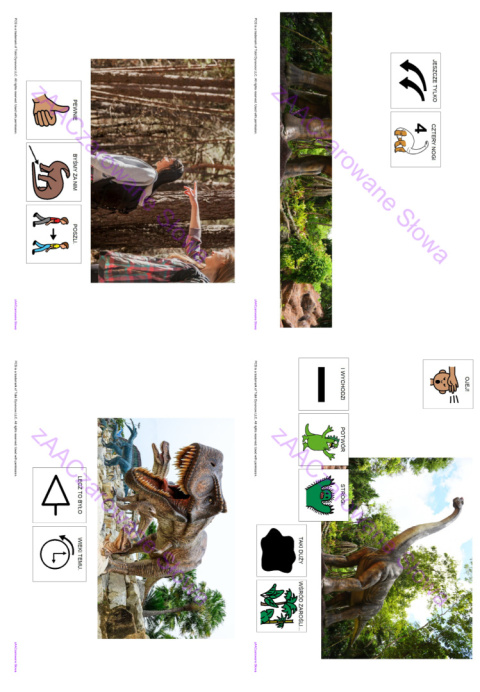 DZIEŃ DINOZAURA - CAŁY PAKIET, SYMBOLE PCS