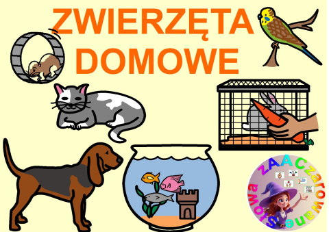 ZWIERZĘTA DOMOWE - CAŁY PAKIET AAC, SYMBOLE PCS