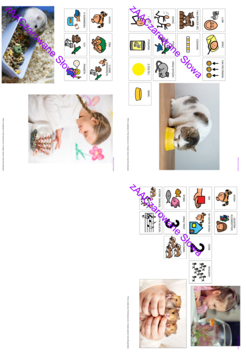 ZWIERZĘTA DOMOWE - CAŁY PAKIET AAC, SYMBOLE PCS