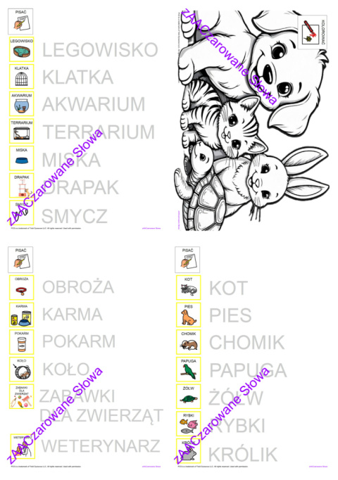 ZWIERZĘTA DOMOWE - CAŁY PAKIET AAC, SYMBOLE PCS