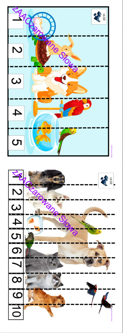 ZWIERZĘTA DOMOWE - CAŁY PAKIET AAC, SYMBOLE PCS