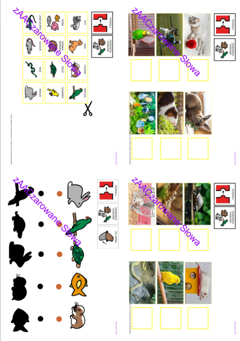 ZWIERZĘTA DOMOWE - CAŁY PAKIET AAC, SYMBOLE PCS