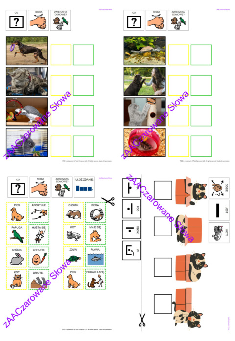 ZWIERZĘTA DOMOWE - CAŁY PAKIET AAC, SYMBOLE PCS