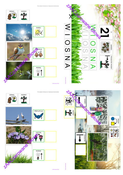 WIOSNA - CAŁY PAKIET AAC, SYMBOLE PCS