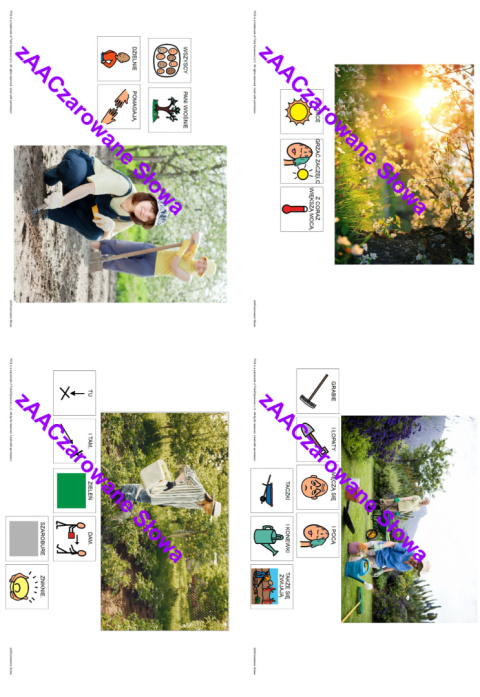 "WIOSNA W OGRÓDKU" - piosenka z repertuaru FASOLEK - link do pobrania w opisie