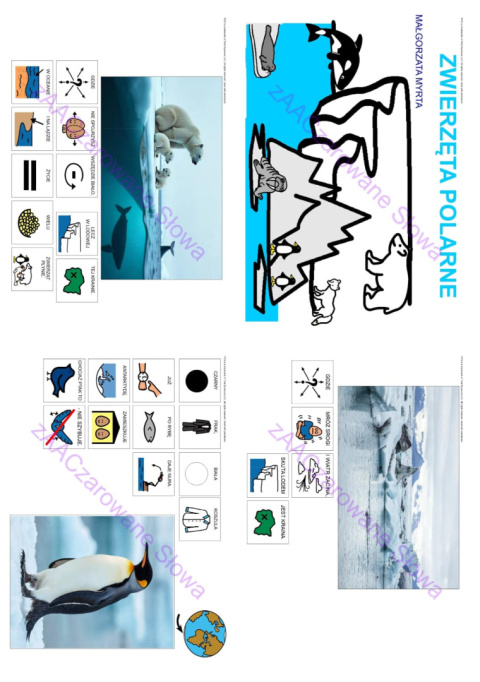 ZWIERZĘTA POLARNE - CAŁY PAKIET