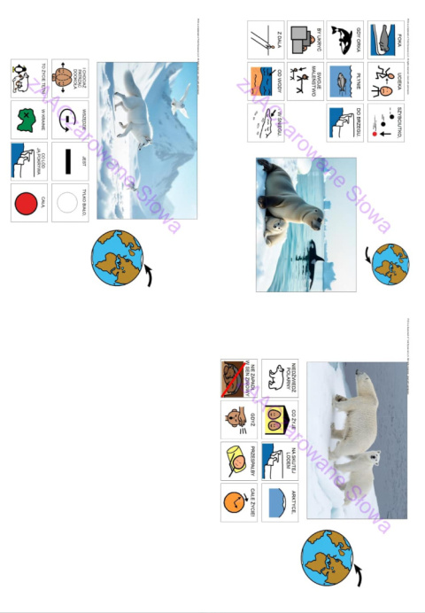 ZWIERZĘTA POLARNE - CAŁY PAKIET