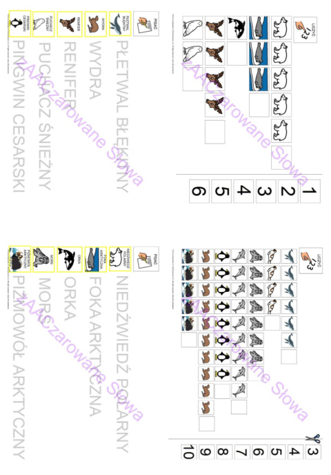 ZWIERZĘTA POLARNE - CAŁY PAKIET