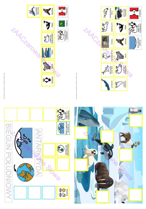 ZWIERZĘTA POLARNE - CAŁY PAKIET