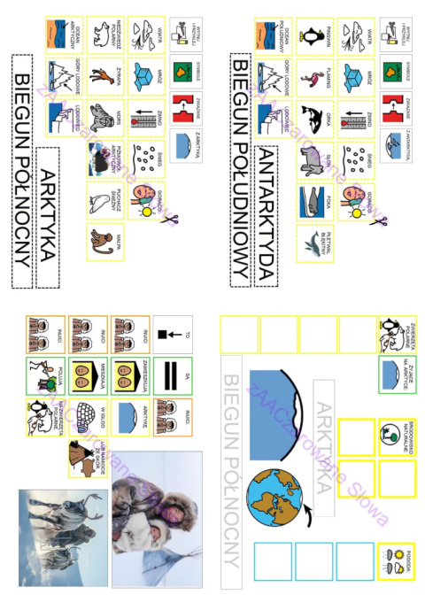 ZWIERZĘTA POLARNE - CAŁY PAKIET