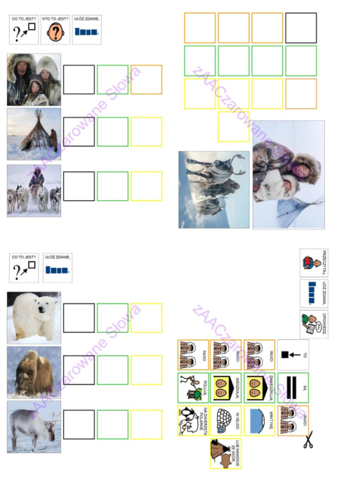 ZWIERZĘTA POLARNE - CAŁY PAKIET