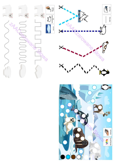 ZWIERZĘTA POLARNE - CAŁY PAKIET