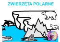 ZWIERZĘTA POLARNE - CAŁY PAKIET