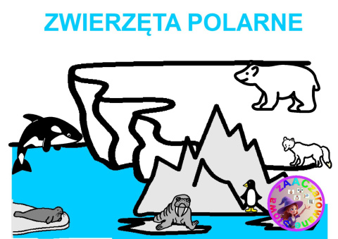 ZWIERZĘTA POLARNE - CAŁY PAKIET