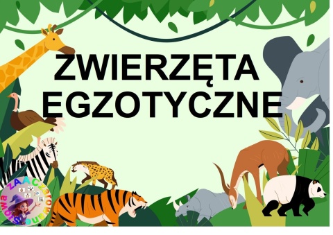 EGZOTYCZNE ZWIERZĘTA - CAŁY PAKIET AAC, KARTY PRACY, SYMBOLE PCS