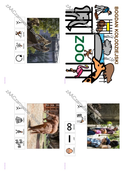 EGZOTYCZNE ZWIERZĘTA - CAŁY PAKIET AAC, KARTY PRACY, SYMBOLE PCS