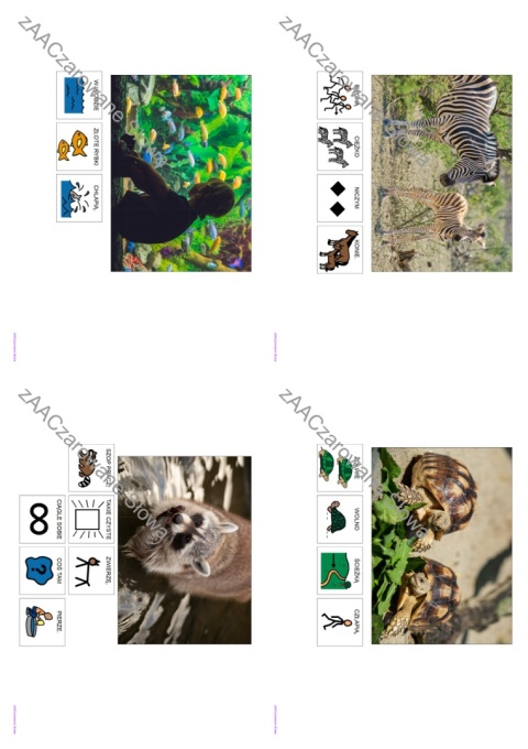 EGZOTYCZNE ZWIERZĘTA - CAŁY PAKIET AAC, KARTY PRACY, SYMBOLE PCS