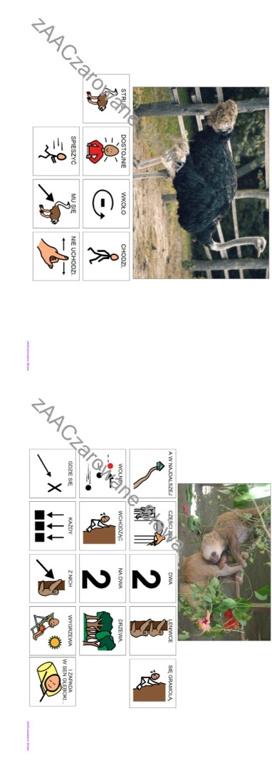 EGZOTYCZNE ZWIERZĘTA - CAŁY PAKIET AAC, KARTY PRACY, SYMBOLE PCS
