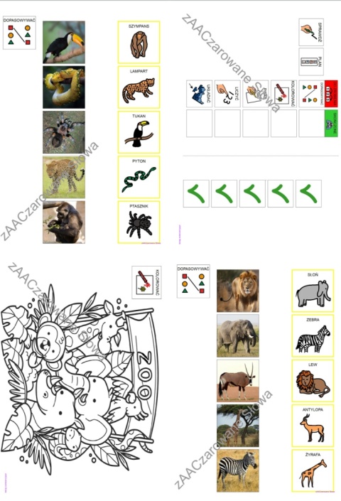 EGZOTYCZNE ZWIERZĘTA - CAŁY PAKIET AAC, KARTY PRACY, SYMBOLE PCS