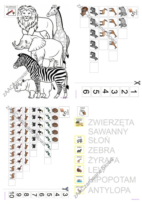 EGZOTYCZNE ZWIERZĘTA - CAŁY PAKIET AAC, KARTY PRACY, SYMBOLE PCS
