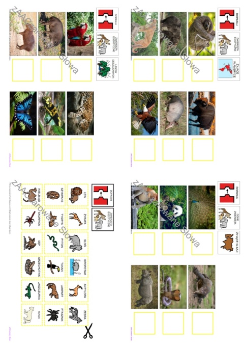 EGZOTYCZNE ZWIERZĘTA - CAŁY PAKIET AAC, KARTY PRACY, SYMBOLE PCS