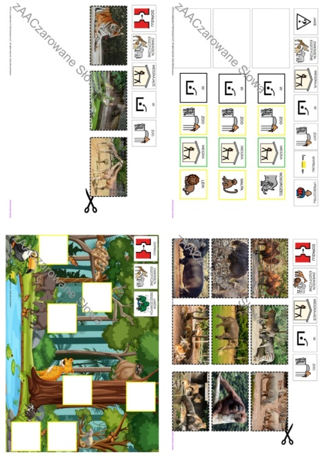 EGZOTYCZNE ZWIERZĘTA - CAŁY PAKIET AAC, KARTY PRACY, SYMBOLE PCS