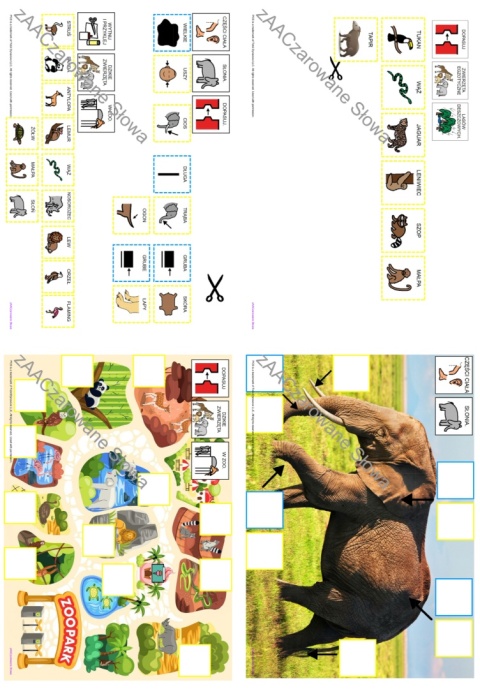 EGZOTYCZNE ZWIERZĘTA - CAŁY PAKIET AAC, KARTY PRACY, SYMBOLE PCS