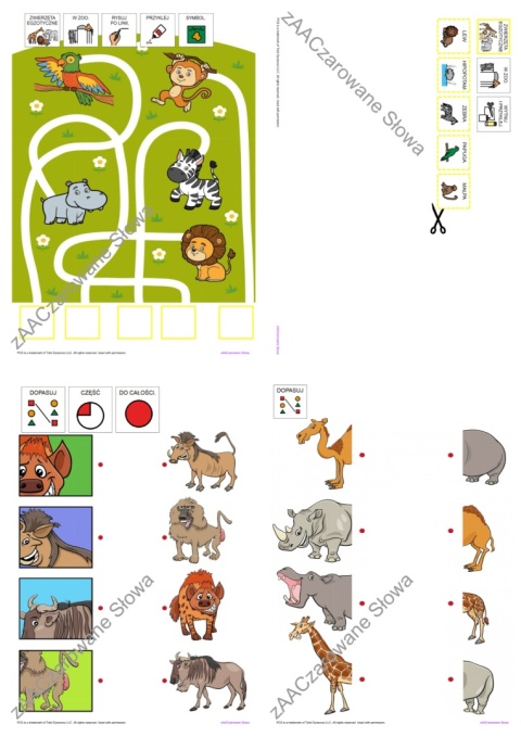EGZOTYCZNE ZWIERZĘTA - CAŁY PAKIET AAC, KARTY PRACY, SYMBOLE PCS