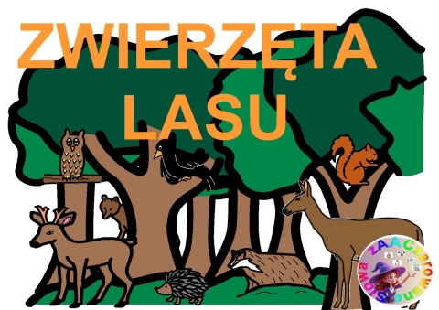 DZIKIE ZWIERZĘTA - CAŁY PAKIET AAC, KARTY PRACY, SYMBOLE PCS