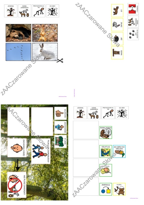 DZIKIE ZWIERZĘTA - CAŁY PAKIET AAC, KARTY PRACY, SYMBOLE PCS