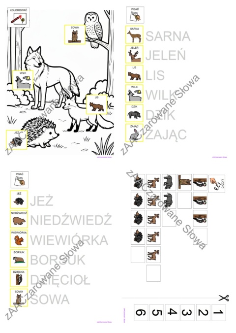 DZIKIE ZWIERZĘTA - CAŁY PAKIET AAC, KARTY PRACY, SYMBOLE PCS
