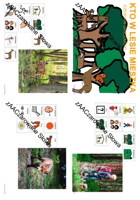 DZIKIE ZWIERZĘTA - CAŁY PAKIET AAC, KARTY PRACY, SYMBOLE PCS