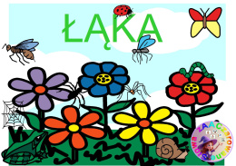 ŁĄKA - CAŁY PAKIET AAC, SYMBOLE PCS