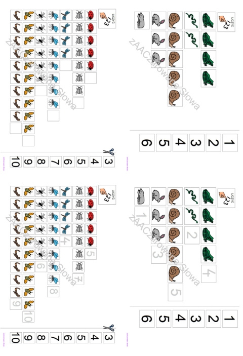 ŁĄKA - CAŁY PAKIET AAC, SYMBOLE PCS