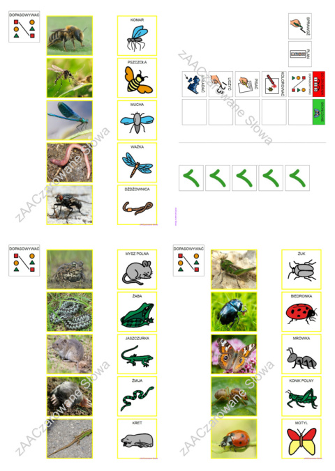 ŁĄKA - CAŁY PAKIET AAC, SYMBOLE PCS