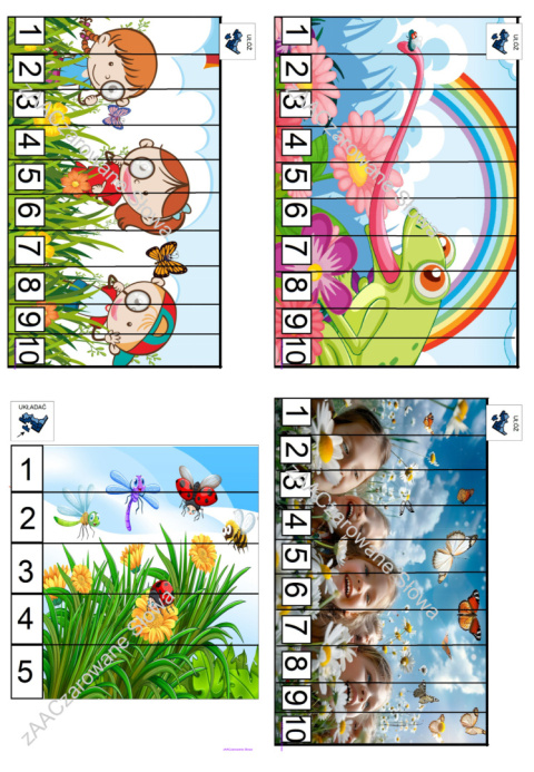 ŁĄKA - CAŁY PAKIET AAC, SYMBOLE PCS