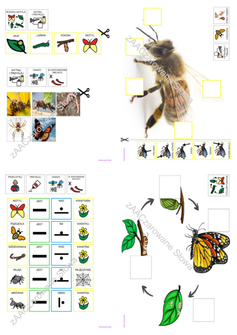 ŁĄKA - CAŁY PAKIET AAC, SYMBOLE PCS