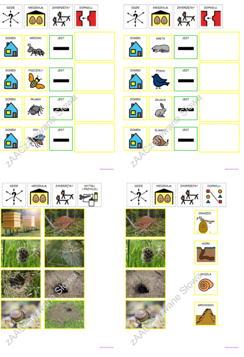 ŁĄKA - CAŁY PAKIET AAC, SYMBOLE PCS