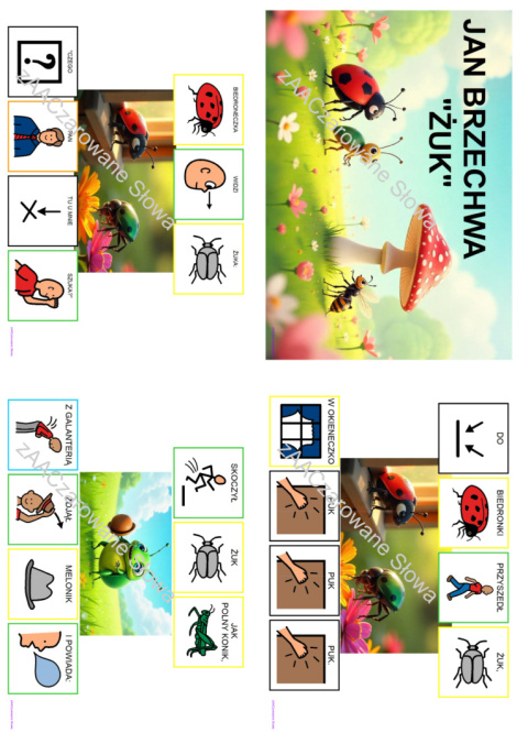 ŁĄKA - CAŁY PAKIET AAC, SYMBOLE PCS