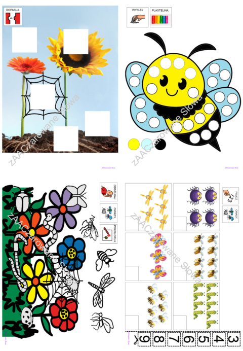 ŁĄKA - CAŁY PAKIET AAC, SYMBOLE PCS