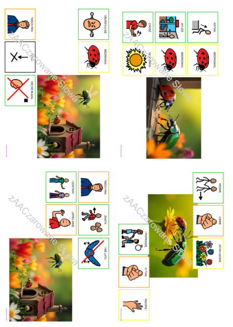ŁĄKA - CAŁY PAKIET AAC, SYMBOLE PCS