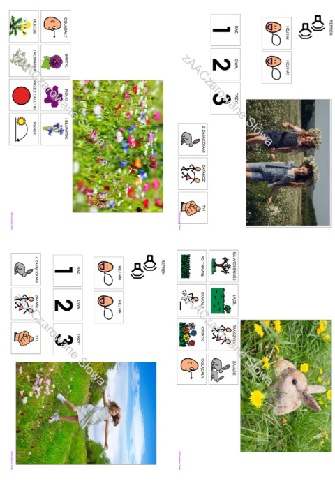 ŁĄKA - CAŁY PAKIET AAC, SYMBOLE PCS