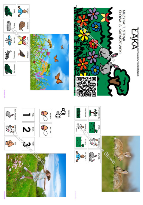 ŁĄKA - CAŁY PAKIET AAC, SYMBOLE PCS