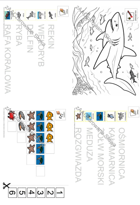 MORZE - CAŁY PAKIET, KARTY PRACY AAC, SYMBOLE PCS