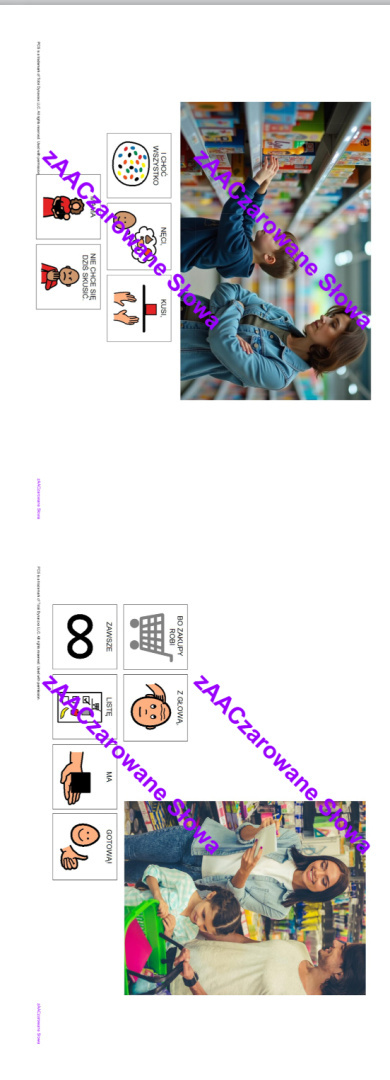 W SKLEPIE - CAŁY PAKIET, KARTY PRACY AAC